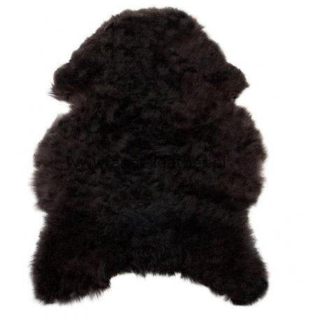 Musta lampaantalja 90 cm, lyhyt karva, Icelandic