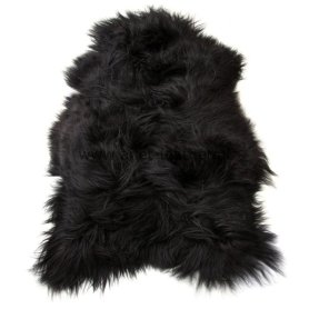 Musta lampaantalja 90 cm, Icelandic